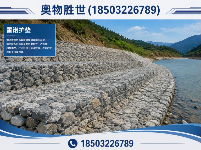 德州雷诺护垫展示图